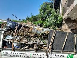 Best Basement Cleanout  in Cherokee, IA